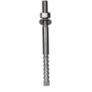 Inverted Cone Chemical Screw Stainless Steel Chemical Anchor Bolt M8-M30 Chemical Anchor