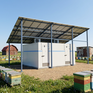 Chambre froide solaire hybride à moteur Copeland pour la conservation des abeilles et des produits naturels biologiques, économe en énergie et écologique - Product Image 1