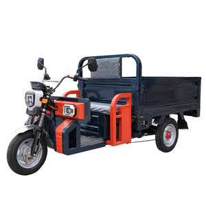 Hete verkoop 1000W vracht driewielige elektrische driewieler voor gebruik op de boerderij elektrische driewieler motorfiets - Product Image 3