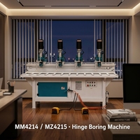 Machine à percer les charnières CNC automatique MM4214/MZ4215, perceuse verticale multi-broches pour le travail du bois, pour trous de charnières de portes d'armoires