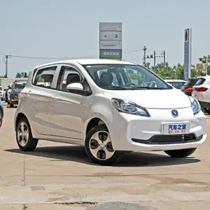 Changan Erwachsene billige Mini-Elektroauto 1200W Motor Elektro fahrzeuge zum Verkauf E-Autos