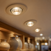 Ampoule halogène GU10 220V 50W blanc chaud dimmable pour éclairage de rail de magasin