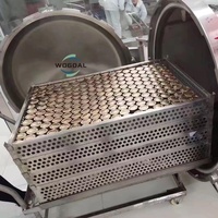 Wogoal Nouvelle Machine Autoclave de Stérilisation Alimentaire pour Bocaux en Verre, Laiterie, Stérilisation par Pulvérisation d'Eau Chaude, Contrapression Automatique