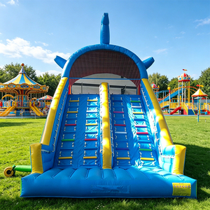 WINSUN Toboggan gonflable sec à deux voies en PVC - Parc d'aventure et jardin personnalisable à usage commercial - Product Image 1