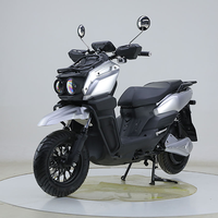 3000W Lithium Battery Electric Motorcycle Two-Wheeled Scooter with 48V Power Max Speed 80km/h for Adults