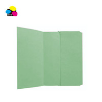 Gran calidad verde brillante A4 tamaño personalizado expansión de cartón cartera