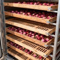 Voedseldroogoven, fruit- en groentedroger, gas-, olie-, elektrische en stoomverwarming voor conserven- en vleesverwerking