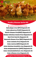 Kit de diagnostic PCR en temps réel (RT-qPCR) pour la Salmonella Gallinarum et Pullorum aviaire, bandelettes de test vétérinaire lyophilisées pour volailles