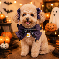 Vêtements personnalisés pour animaux de compagnie, costume d'Halloween pour chien et chat, ensemble collier à nœud papillon et nœud pour cheveux en forme d'aile de chauve-souris, tenue de cosplay pour chiot et chaton, vente en gros OEM