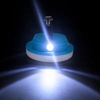 Solar-Campinglampe USB-Aufladbare Laterne Wasserdichte Tragbare Zeltbeleuchtung für Stromausfälle Wandern Notfall-LED-Solar-Campinglampe