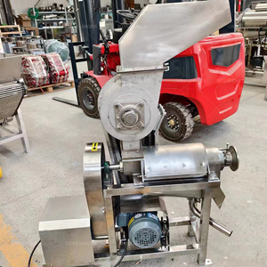 Gran oferta de México, exprimidor de frutas, máquina extractora de jugo de tornillo de mango de jengibre/exprimidor de jengibre de gran capacidad con función de trituración - Product Image 5