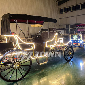 Carros de caballos eléctricos reales de lujo ZOWN, remolque turístico de Henan para instalaciones de parque de atracciones, turismo al aire libre - Product Image 2