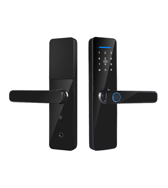 TAICHEN B02 Tuya Wifi Smart Door Lock Password Fingerprint Card Key Smart Lock for Home