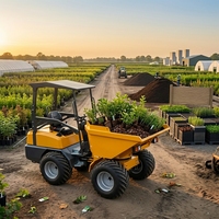 Mini-dumper chenillé hydraulique motorisé à essence pour chantier