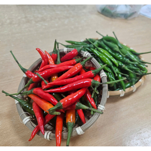 Especias de Chile rojo entero vietnamita fresco embalaje personalizado crudo procesado precio razonable directo al por mayor - Product Image 6