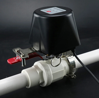 Vanne Intelligente Tuya : Système d'Automatisation Domestique Connecté, Contrôle à Distance Sans Fil via l'Application, Vanne d'Eau et de Gaz Électrique Wi-Fi