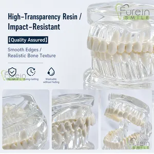 Modelo Transparente de Cráneo Canino con Dientes, Réplica Clara de Anatomía Dental de Mandíbula Canina para Enseñanza y Demostración Veterinaria - Product Image 2