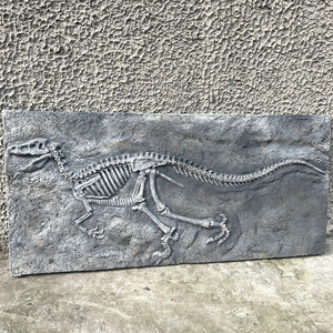 Jurassic High 2M - Placa de Fósiles de Dinosaurio de Alta Calidad, Grande, Natural, para Niños, para la Educación Científica Popular y Sitios de Excavación - Product Image 4