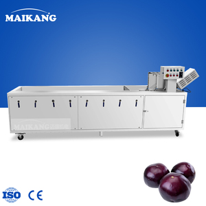 高生产率臭氧清洗机适用于中央厨房，可处理像水芹菜等食材。 - Product Image 3