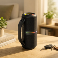 BKK / OEM 26W IPX6 Enceinte portable avec lumière RGB pour fêtes en extérieur