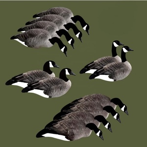 Sarcelle bacon lys fendu gris manche à air floqué sac flottant chasse specklebelly canada silhouette leurres d'oie des neiges - Product Image 4