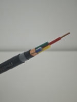 Câble d'alimentation blindé isolé en XLPE avec bande de cuivre 0,6/1 kV 3+1 conducteurs GB/T 12706