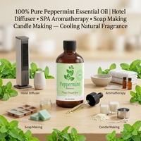 Huile Essentielle de Menthe Poivrée Naturelle 30ml, Huile de Menthe Non Diluée pour Diffuseur d'Arômes, Soins de la Peau, Soins Corporels, Nettoyage Domestique, Vente en Gros