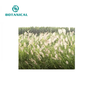 Nhà máy cung cấp 100% hữu cơ tự nhiên đuôi ngựa chiết xuất bột - Product Image 4