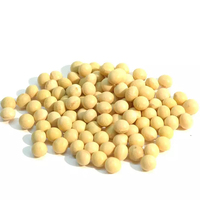 Vente en gros de soja jaune biologique non OGM, riche en protéines, déshydraté, 100% naturel, provenant de l'agriculture, pour la consommation humaine
