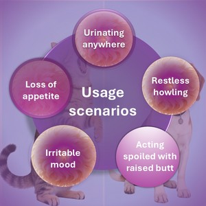 Complément Masticable Doux pour <span class=keywords><strong>Chats</strong></span> et Chiens : Gestion de l'Estrohe, Vitamines et Minéraux, Absorption Rapide, Sûr contre les <span class=keywords><strong>Puces</strong></span>, les Urinations Inadaptées et les Morsures - Product Image 5