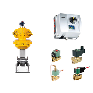 Contrôleur de vanne intelligent série Neles ND7000/ND9000 pour vanne à boisseau sphérique, fournisseur de pièces OEM, 24VDC, acier au carbone, ASCO 210, Buerkert - Product Image 3