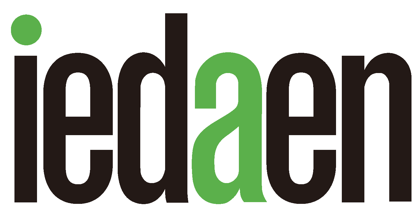 Ningbo Iedaen Electric Co., Ltd. logo