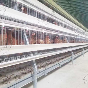 Gabbie per animali da gallina tipo A zincato A caldo A basso prezzo per forniture per allevamenti di pollame - Product Image 2