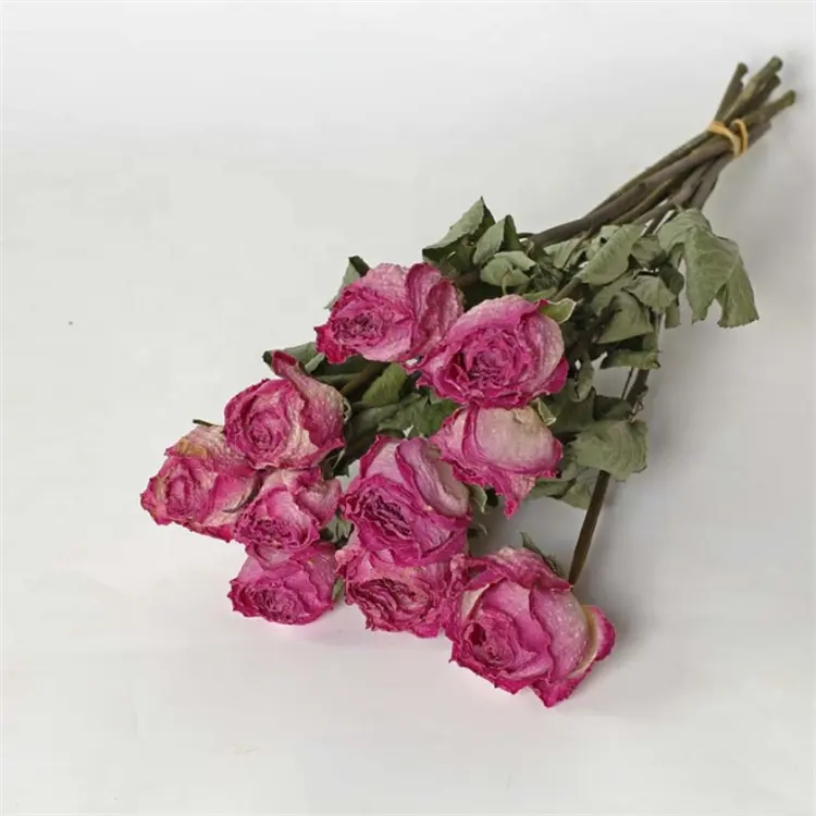Cheap Price Real Natural Dried Rose Dry Flowers Long Life Dried Roses Bouquet With Stem
