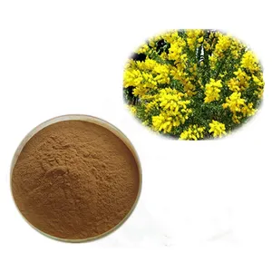 Bubuk Acacia Ekstrak Acacetin 98% 99% Berkualitas Tinggi