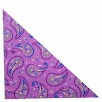 Fournisseur d'usine : Bandanas triangulaires tendance pour animaux de compagnie – Article très prisé – Foulards triangulaires pour chiens