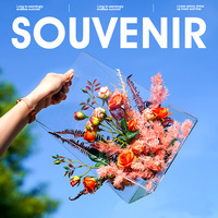 Boîte à fleurs séchées en acrylique transparent durable de qualité supérieure, couleur personnalisée, avec poignée artisanale, emballage élégant pour fleurs éternelles, cadeau