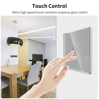 Interruptor de pared inteligente Touchmi con Wifi Alemania Socket Nuevo diseño Zigbee Panel de vidrio para el hogar para el Hogar Inteligente