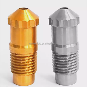 Ép phun nhựa nóng Runner hệ thống phụ tùng Carbide ỐNg Lót beryllium ỐNg Lót vòi phun lời khuyên van Pin - Product Image 6