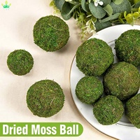 Boule de mousse séchée, boule de topiaire végétale, boules décoratives en faux buis pour jardin, balcon, mariage et décoration intérieure