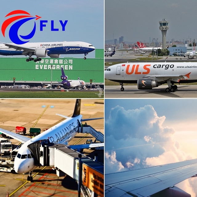 Door to Door Service Sea Freight Shipping Agent Ddp Sea Shipping Logistic Company China to France