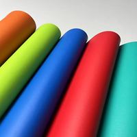Différentes couleurs de PVC cuir résistant à l'eau gymnastique paume protecteur Fitness Protection tapis pour canapé meubles chaise utilisation