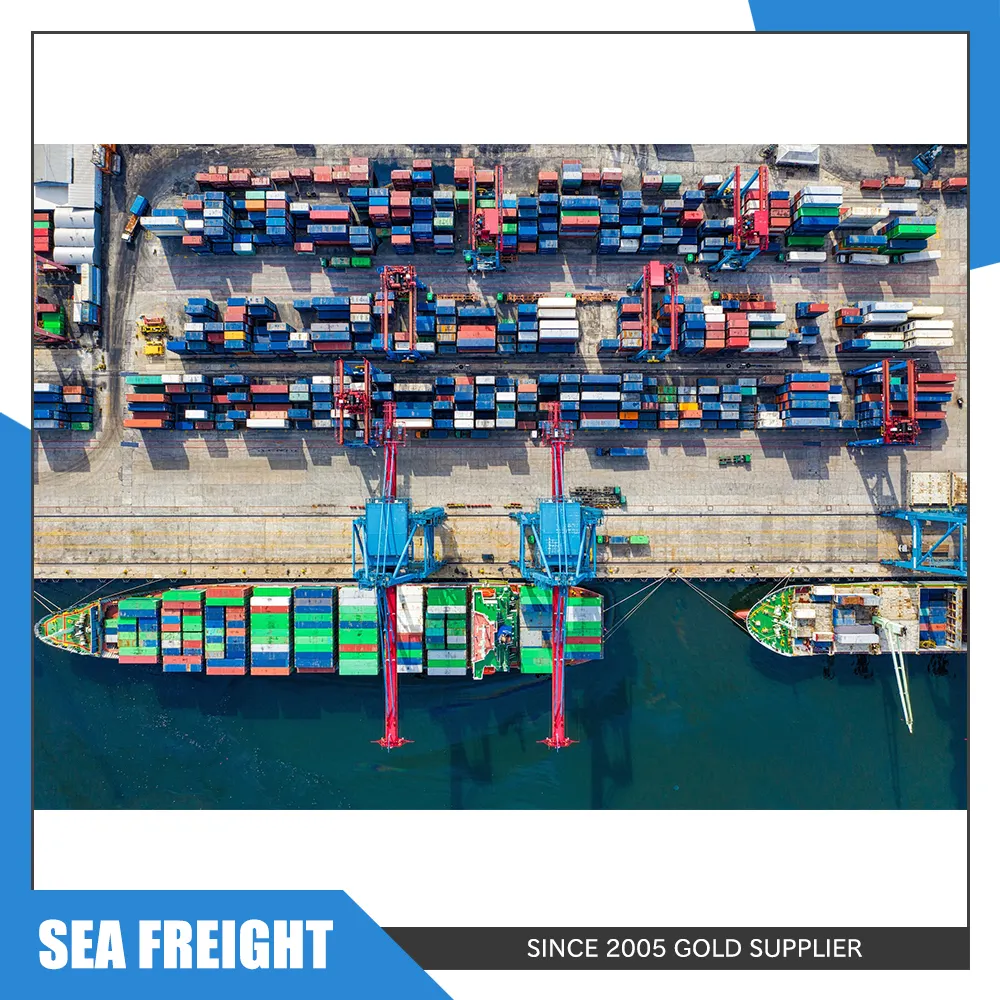Container-Logistik von shenzhen, guangzhou, shanghai, ningbo nach ilhichivsk, ukraine