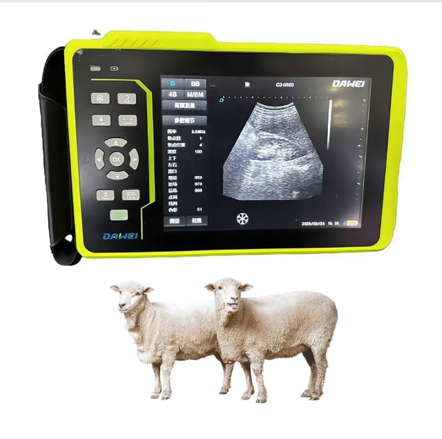 Animal Hand-held Ultrasound Scanner Portable Veterinary Ultrasound Machine|Fully Waterproof Dawei for Pet Diagnostics