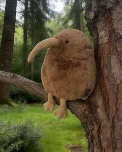 Fábrica de Peluches de Aves Kiwi de Nueva Zelanda Personalizados, OEM ODM, Muñeco de Peluche Suave y Barato para Niños, Regalo - Product Image 4