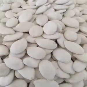 Graines de citrouille naturelles brutes, propres et bien triées, vente en gros en vrac pour la pâtisserie, les mélanges de snacks et l'alimentation saine quotidienne - Product Image 2
