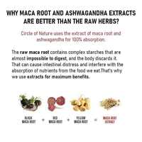 Capsules d'extrait de racine de maca naturelle de haute pureté, complément alimentaire sain pour hommes forts, capsules de maca extra puissantes pour adultes