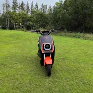 Bicicletas Eléctricas Más Vendidas con Dos Asientos, 60V, Motocicletas Ligeras, de Propulsión Eléctrica, Bicicletas Eléctricas Económicas - Product Image 5