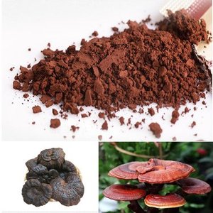 Großhandel Reines Reishi-Pilzpulver Ganoderma Lucidum Sporen Kräuterextrakt Gesundheitsnahrungsmittel-Qualität Individuelle Verpackung - Product Image 6