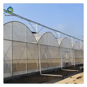 Plastic Film Greenhouse with Hydroponic Growing System